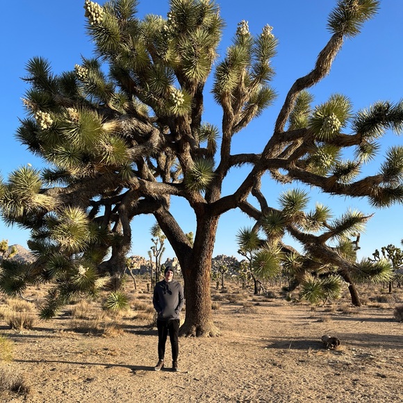 About Me - Picture 8 of 9